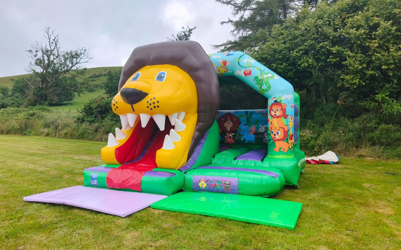 3D Lion Jungle Combo Slide Castle
