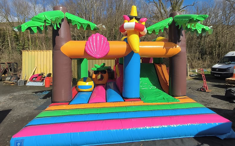 Summer Multiplay Activity Castle