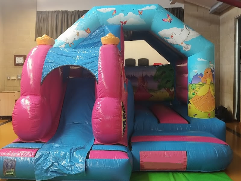 3D Princess Castle Hire
