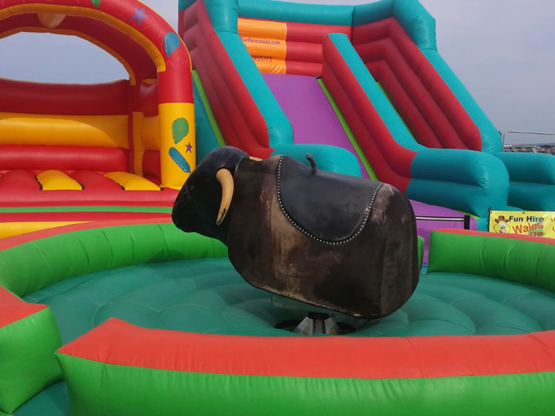 Corporate Event Rodeo Bull