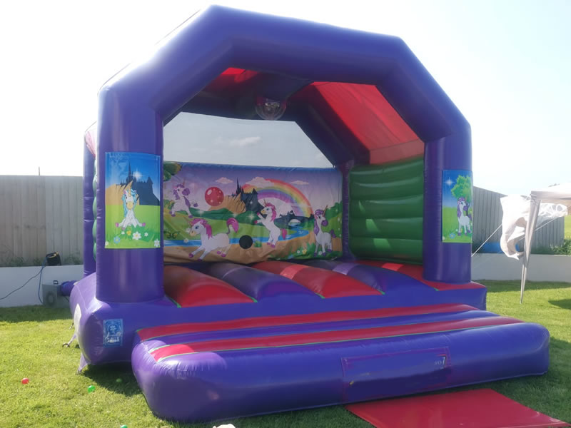 Unicorn Disco Castle Hire Wales