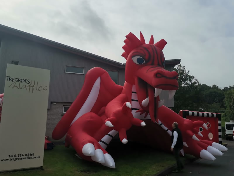 Giant Dragon Inflatable Display